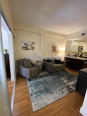 Downtown Apartment for rent 2 Bedrooms 1 Bath Boston - $3,800