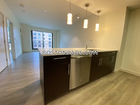 West End Apartment for rent 1 Bedroom 1 Bath Boston - $3,700