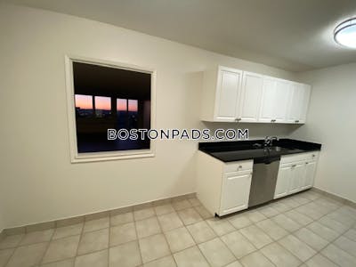West End Apartment for rent 1 Bedroom 1 Bath Boston - $3,365