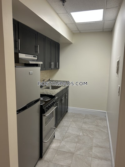 Chinatown Apartment for rent 1 Bedroom 1 Bath Boston - $3,150 No Fee