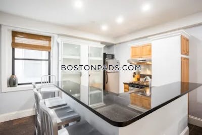 Downtown Apartment for rent 1 Bedroom 1 Bath Boston - $2,900